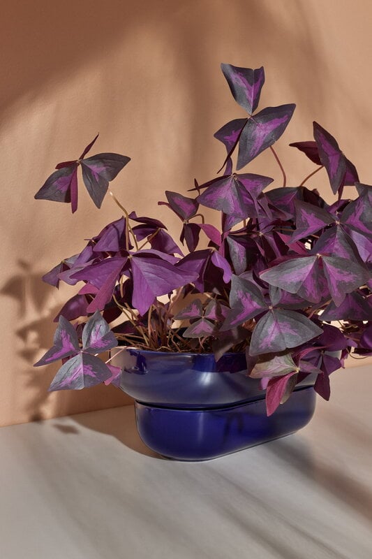 Pidät KUKKA flowerpot, cobalt, decoration image