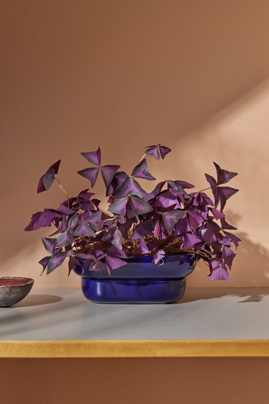 Pidät KUKKA flowerpot, cobalt, decoration image