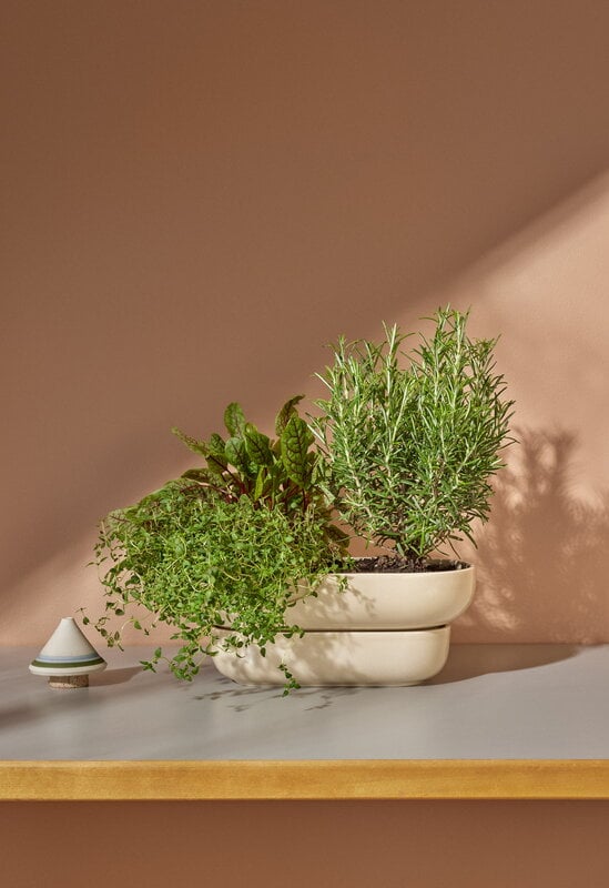 Pidät KUKKA maceta, arena, imagen de decoración