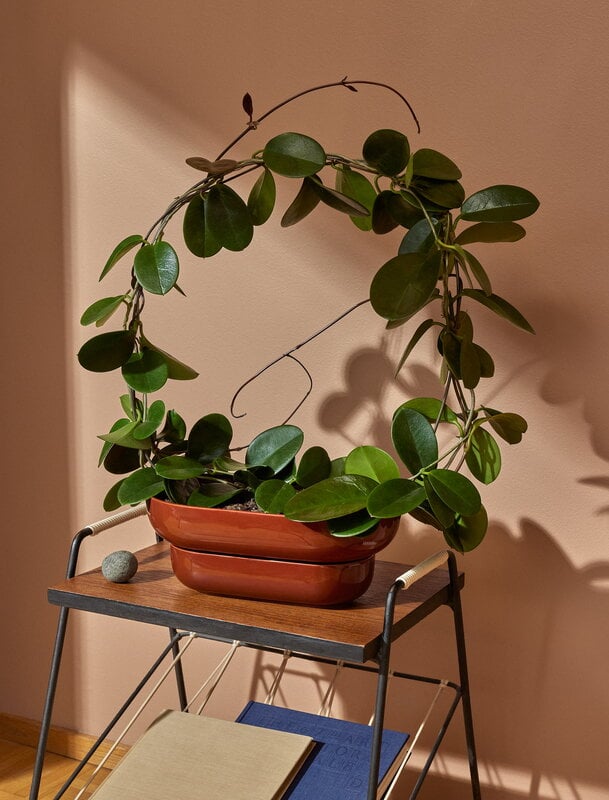 Pidät KUKKA flowerpot, brick, decoration image