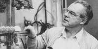 Hans Gustav Ehrenreich