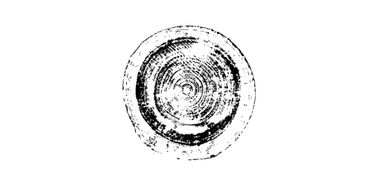 Toivo publishing, marchio