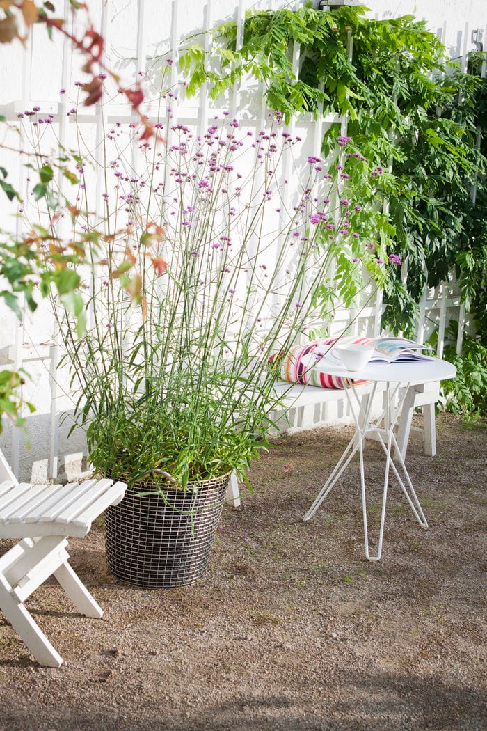 Houseplants Outdoorfurniture Terrace Summer living Massproductions Korbo White Metal Steel Tio Wire Basket Classic