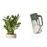 Fiskars Arrosoir Plant Care mist and pour, vert - transparent, image extra