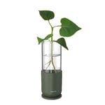 Fiskars Plant Care support de propagation, 1 pc, vert - transparent, image extra