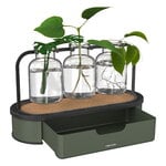 Fiskars Plant Care propagation station, green - black - clear, extra image