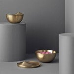 Stelton Peak Bonbonniere, S, view 2