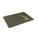 Eva Solo Green Tool DoubleUp cutting board, green