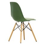 Vitra Eames DSW tuoli, forest - vaahtera - ivory/forest pehmuste