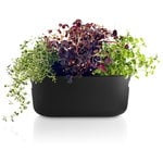 Eva Solo Vaso per erbe, autoinnaffiante, nero, immagine extra