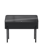 Eva Solo Vaso con supporto Simply Grow, 80 x 33 cm, nero, immagine extra
