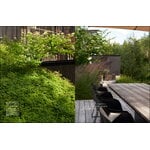 Studio Koskinen Rantanen Asun Homes Vol 9, extra image