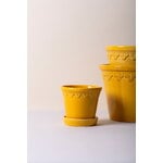 Bergs Potter Københavner kukkaruukku alusella, lasitettu amber yellow, tuotteen lisäkuva