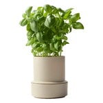 Crushgrind Billund self-watering pot, cumin, extra image