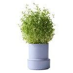 Crushgrind Billund self-watering pot, lavender, extra image