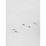 Flensted Mobiles Flying Swallows 5 mobile, extra image