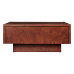 Ferm Living Burl Storage tavolino da caffè, radica scura, immagine extra