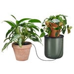 Fiskars Plant Care kasvien kastelujärjestelmä, vihreä - musta, tuotteen lisäkuva