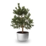 Korbo Linea no 2 planter, medium, aluminium, extra image