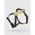 Masimalo Arch harness, light sage - khaki, extra image