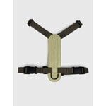 Masimalo Arch harness, light sage - khaki, extra image