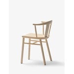 Mattiazzi MC28 Stelo tuoli, vahattu saarni, tuotteen lisäkuva