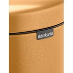 Brabantia cestino a pedale newIcon, 30 L, warm gold, immagine extra