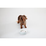 PAIKKA Slow Feed bowl M, grey