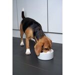 PAIKKA Slow Feed bowl M, grey