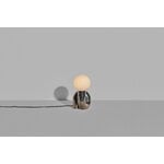 Petite Friture Lampe de table Neotenic, 26 cm, platine