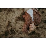 Laine Publishing Seasons of Stitches, extra image