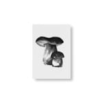 Teemu Järvi Illustrations Wild Mushroom Miniposter-Set, 4 Stück