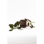 Vaidava Ceramics Soil pot with saucer, L, brown
