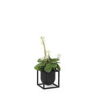 Audo Copenhagen Vaso da fiori Kubus 10, nero