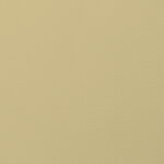 Cover Story Paint sample, 030 VIRGINIA - straw green