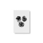 Teemu Järvi Illustrations Conifer Miniposter-Set, 4 Stück