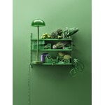 String Furniture String Pocket shelf, green