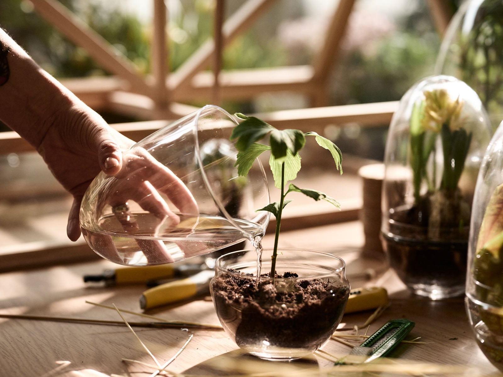DESIGN HOUSE Stockholm ガラス花瓶 Design House Stockholm Grow mini greenhouse, L | Finnish Design Shop