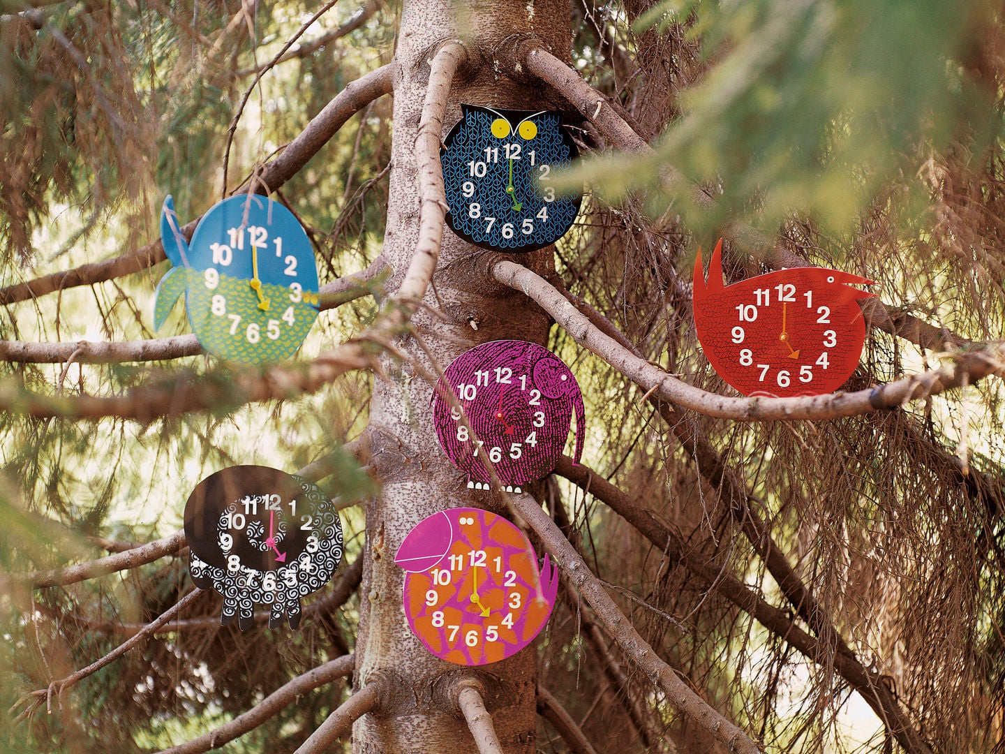 Vitra Zoo Timers wall clock, Omar the Owl | Finnish Design Shop