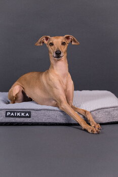 PAIKKA Cooling Orthopedic Mattress koiranpeti, 80 cm, harmaa, tuotteen lisäkuva