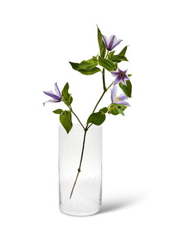 Spring Copenhagen Laine Vase, zylindrisch, 25 cm, klar