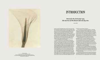 Thames & Hudson Flora Photographica: The Flower in Contemporary Photography