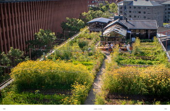 Gestalten Stadt Gärten: Die wachsende Begeisterung für Urban Farming