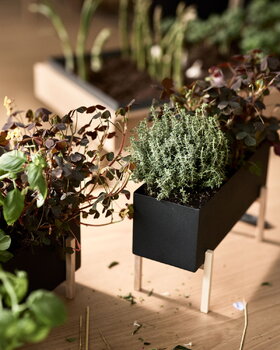 Design House Stockholm Botanic planter box
