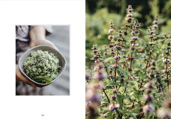 Cozy Publishing Living With Herbs