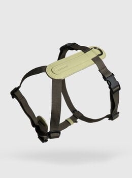 Masimalo Arch harness, light sage - khaki, extra image