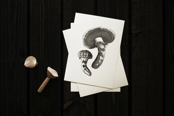 Teemu Järvi Illustrations Wild Mushroom mini poster set, 4 pcs