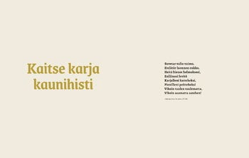 Laine Publishing Neulottu Kalevala II