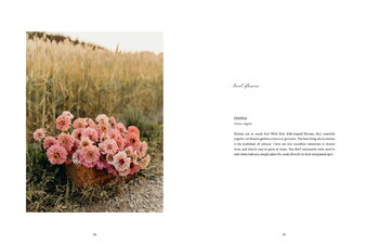 Cozy Publishing Where Flowers Bloom, extra image