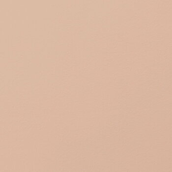 Cover Story Paint sample, LB5 EDITH - dusty pink